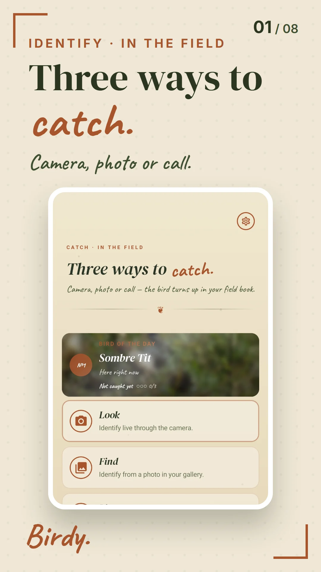 Birdy identify home — three ways to catch a bird
