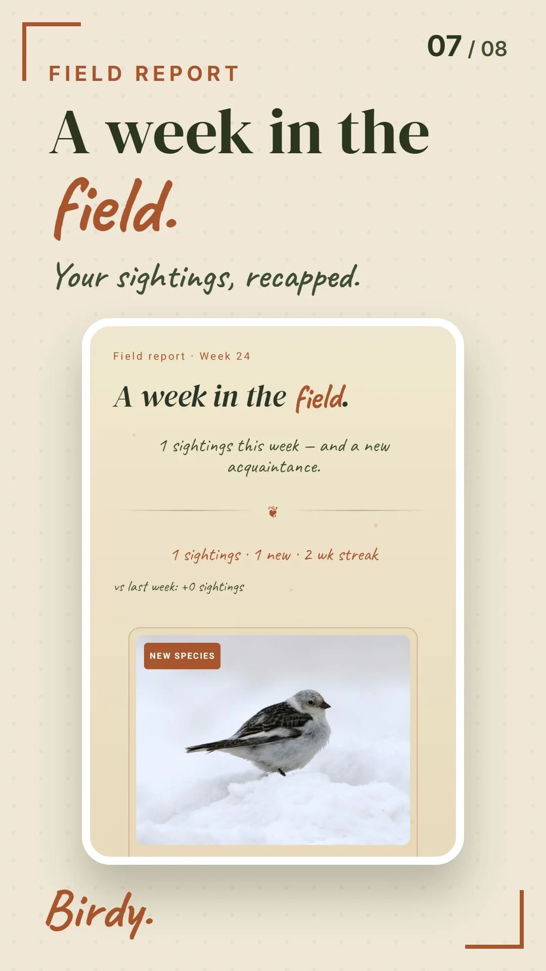 Birdy weekly field report with a new species